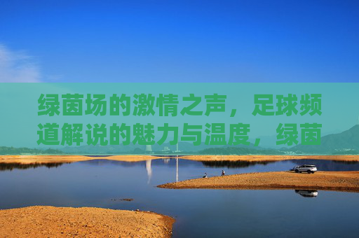 绿茵场的激情之声,足球频道解说的魅力与温度,绿茵场的声与暖,足球解说的魅力回响