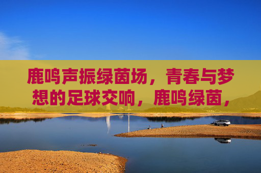 鹿鸣声振绿茵场，青春与梦想的足球交响，鹿鸣绿茵，青春梦想的足球交响