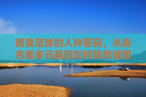 南美足球的人种密码,从排名看多元基因如何铸就绿茵传奇,南美足球的人种密码,多元基因铸就绿茵传奇