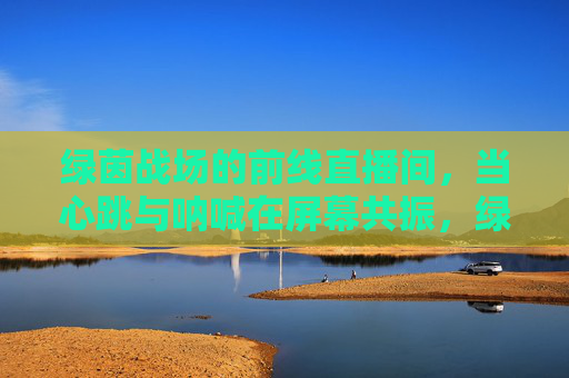 绿茵战场的前线直播间，当心跳与呐喊在屏幕共振，绿茵战场直播间，心跳呐喊的屏幕共振