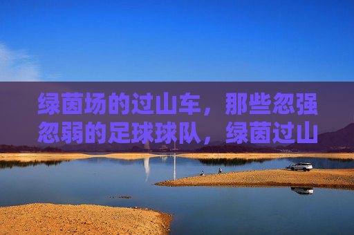 绿茵场的过山车,那些忽强忽弱的足球球队,绿茵过山车,那些强弱起伏的球队