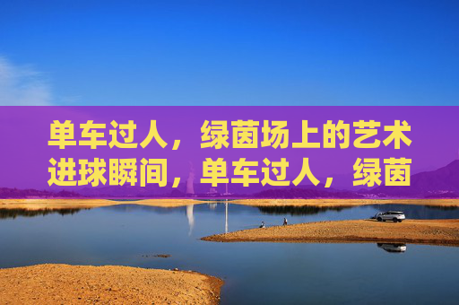 单车过人,绿茵场上的艺术进球瞬间,单车过人,绿茵场艺术进球瞬间