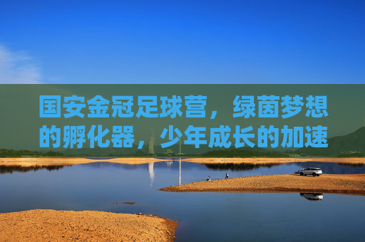 国安金冠足球营,绿茵梦想的孵化器,少年成长的加速器