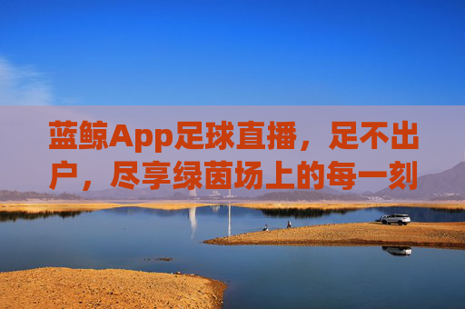 蓝鲸App足球直播,足不出户,尽享绿茵场上的每一刻热血,蓝鲸App足球直播,足不出户,尽享绿茵热血时刻