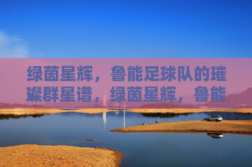 绿茵星辉,鲁能足球队的璀璨群星谱,绿茵星辉,鲁能璀璨群星谱