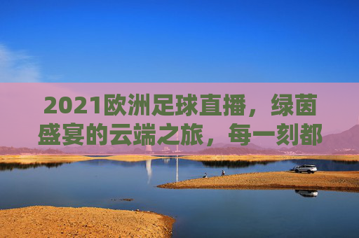 2021欧洲足球直播，绿茵盛宴的云端之旅，每一刻都值得铭记，2021欧洲足球直播，云端绿茵盛宴，每一刻值得铭记