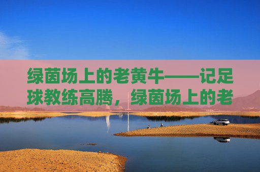 绿茵场上的老黄牛——记足球教练高腾,绿茵场上的老黄牛——足球教练高腾