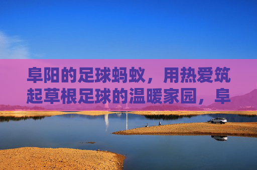 阜阳的足球蚂蚁，用热爱筑起草根足球的温暖家园，阜阳足球蚂蚁，筑起草根足球的温暖家园