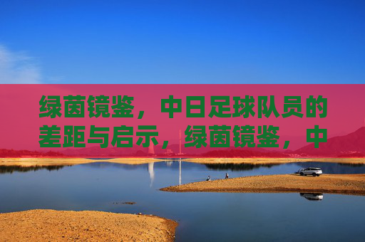 绿茵镜鉴，中日足球队员的差距与启示，绿茵镜鉴，中日球员差距与启示