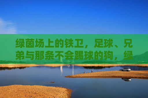 绿茵场上的铁卫，足球、兄弟与那条不会踢球的狗，绿茵场铁卫，足球、兄弟与那条不会踢球的狗