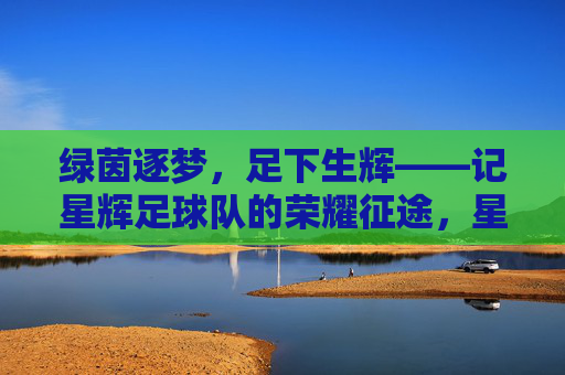 绿茵逐梦，足下生辉——记星辉足球队的荣耀征途，星辉逐梦，绿茵耀征途