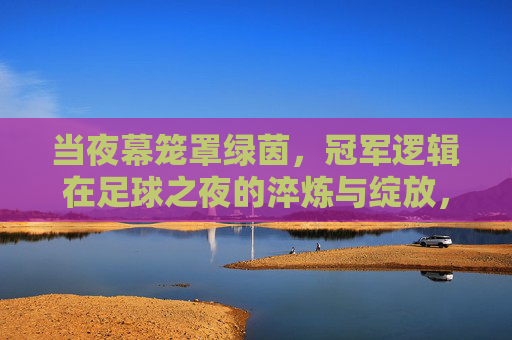 当夜幕笼罩绿茵,冠军逻辑在足球之夜的淬炼与绽放,夜幕绿茵,冠军逻辑淬炼绽放
