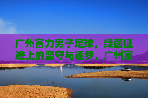 广州富力男子足球，绿茵征途上的坚守与逐梦，广州富力，绿茵征途的坚守与逐梦