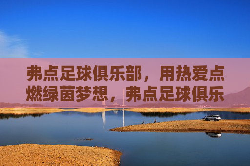 弗点足球俱乐部，用热爱点燃绿茵梦想，弗点足球俱乐部，热爱点燃绿茵梦想
