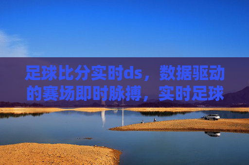 足球比分实时ds，数据驱动的赛场即时脉搏，实时足球比分，数据驱动的赛场即时脉搏