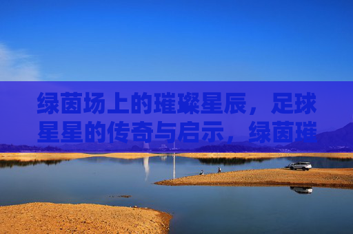 绿茵场上的璀璨星辰，足球星星的传奇与启示，绿茵璀璨，足球星辰的传奇启示