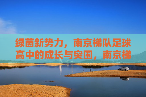 绿茵新势力,南京梯队足球高中的成长与突围,南京梯队足球高中,绿茵新势力的成长突围