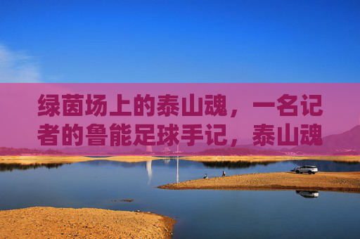 绿茵场上的泰山魂,一名记者的鲁能足球手记,泰山魂,鲁能足球记者的绿茵手记