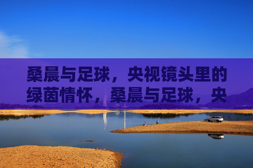 桑晨与足球，央视镜头里的绿茵情怀，桑晨与足球，央视镜头里的绿茵情怀
