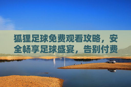 狐狸足球免费观看攻略，安全畅享足球盛宴，告别付费烦恼，狐狸足球免费观看攻略，安全畅享足球盛宴，告别付费烦恼