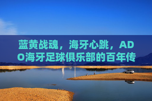 蓝黄战魂,海牙心跳,ADO海牙足球俱乐部的百年传承与城市记忆,蓝黄战魂与海牙心跳,ADO海牙的百年传承与城市记忆