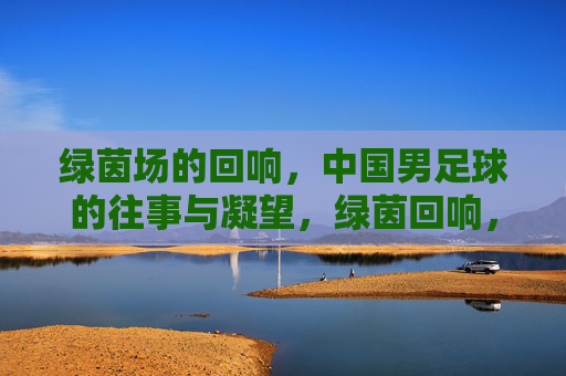 绿茵场的回响,中国男足球的往事与凝望,绿茵回响,中国足球往事凝望