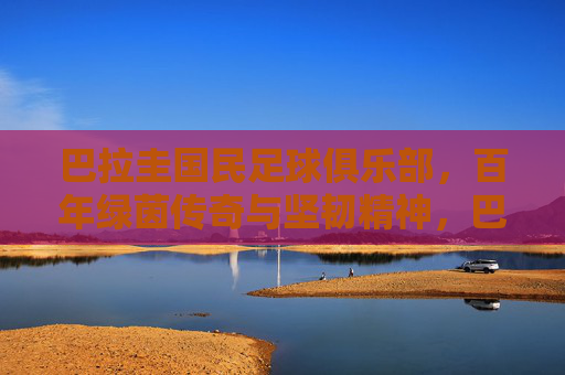 巴拉圭国民足球俱乐部，百年绿茵传奇与坚韧精神，巴拉圭国民足球俱乐部，百年绿茵坚韧传奇
