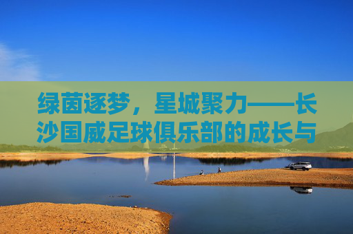 绿茵逐梦,星城聚力——长沙国威足球俱乐部的成长与担当,绿茵逐梦,星城聚力——长沙国威足球俱乐部的成长担当
