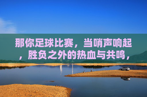 那你足球比赛,当哨声响起,胜负之外的热血与共鸣,哨响时,胜负之外的热血共鸣