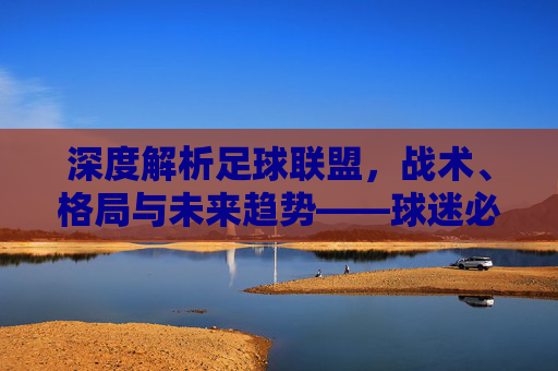 深度解析足球联盟，战术、格局与未来趋势——球迷必备的解析视频指南，深度解析足球联盟，战术、格局与未来趋势——球迷必备视频指南