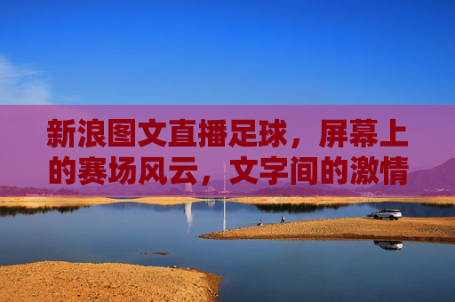 新浪图文直播足球，屏幕上的赛场风云，文字间的激情共鸣，新浪图文直播，文字绘赛场风云，共鸣足球激情