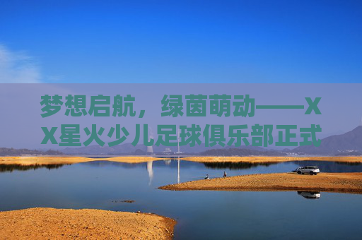 梦想启航，绿茵萌动——XX星火少儿足球俱乐部正式揭牌！梦想启航！XX星火少儿足球俱乐部正式揭牌