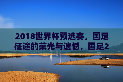 2018世界杯预选赛，国足征途的荣光与遗憾，国足2018世界杯预选赛征途，荣光与遗憾