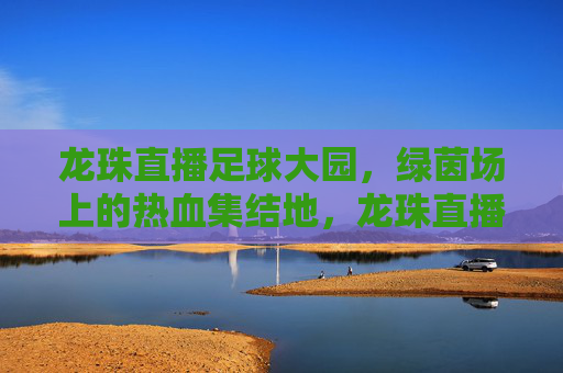 龙珠直播足球大园，绿茵场上的热血集结地，龙珠直播足球大园，绿茵热血集结地