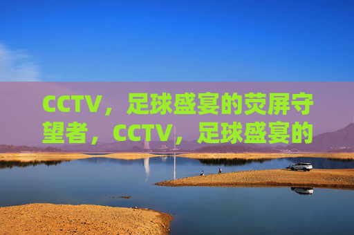 CCTV，足球盛宴的荧屏守望者，CCTV，足球盛宴的荧屏守望者