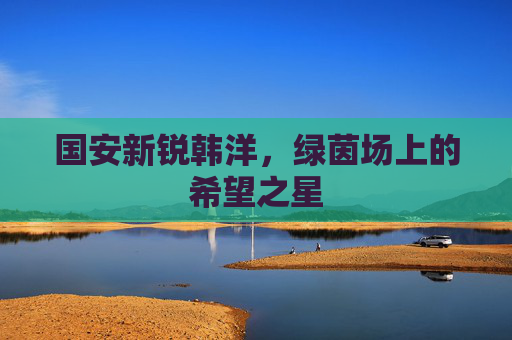 国安新锐韩洋,绿茵场上的希望之星