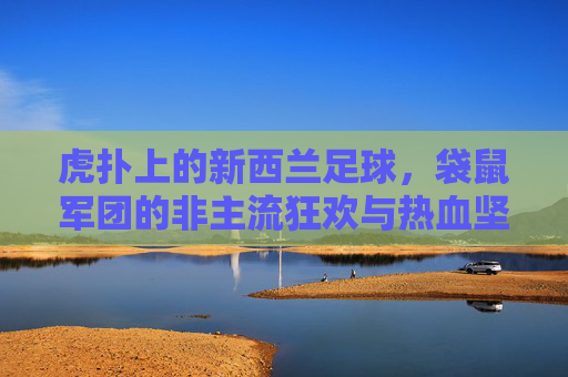 虎扑上的新西兰足球，袋鼠军团的非主流狂欢与热血坚守，虎扑新西兰足球，非主流狂欢与热血坚守