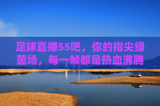 足球直播55吧,你的指尖绿茵场,每一帧都是热血沸腾,指尖绿茵场,帧帧热血足球直播
