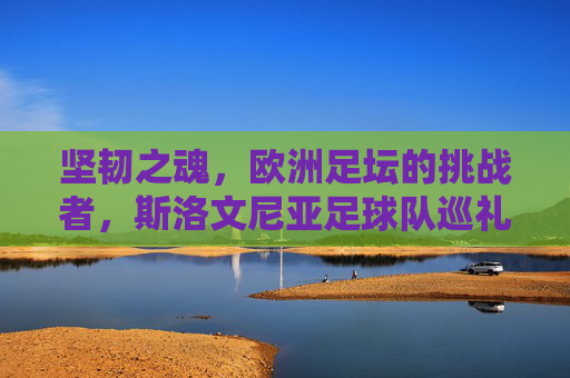 坚韧之魂,欧洲足坛的挑战者,斯洛文尼亚足球队巡礼,坚韧之魂,斯洛文尼亚,欧洲足坛的挑战者巡礼