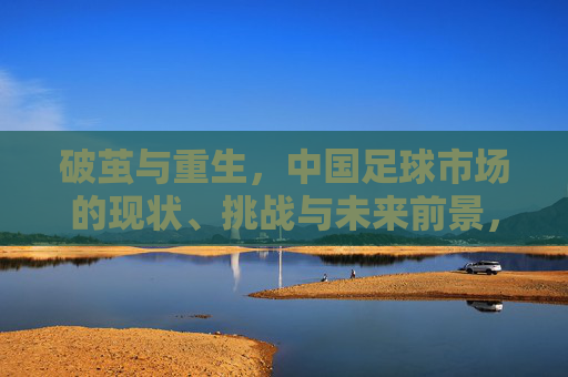 破茧与重生,中国足球市场的现状、挑战与未来前景,破茧与重生,中国足球市场的现状、挑战与未来