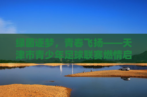 绿茵逐梦，青春飞扬——天津市青少年足球联赛燃情启幕，绿茵逐梦，青春飞扬——天津市青少年足球联赛燃情启幕