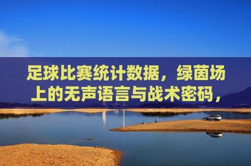 足球比赛统计数据,绿茵场上的无声语言与战术密码,足球统计数据,绿茵场的无声战术密码