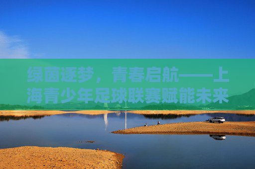 绿茵逐梦,青春启航——上海青少年足球联赛赋能未来足球之星,逐梦绿茵,青春启航——上海青少年足球联赛育未来之星