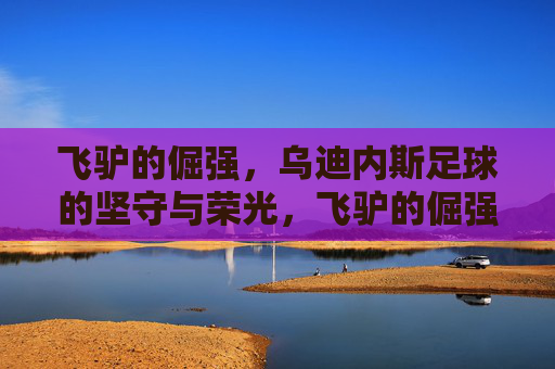 飞驴的倔强，乌迪内斯足球的坚守与荣光，飞驴的倔强，乌迪内斯的坚守与荣光