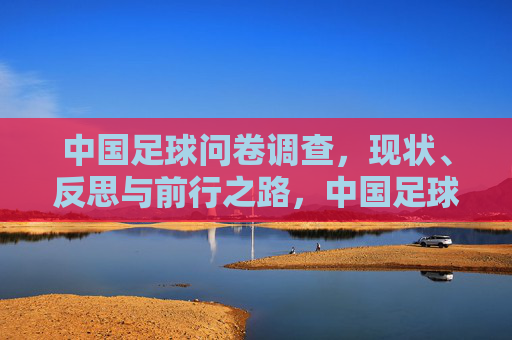 中国足球问卷调查，现状、反思与前行之路，中国足球问卷调查，现状、反思与前行之路