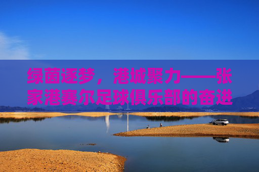 绿茵逐梦,港城聚力——张家港赛尔足球俱乐部的奋进之路,绿茵逐梦,港城聚力——张家港赛尔足球俱乐部的奋进之路