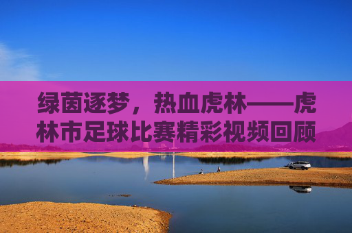 绿茵逐梦，热血虎林——虎林市足球比赛精彩视频回顾，虎林绿茵逐梦，足球比赛精彩视频回顾