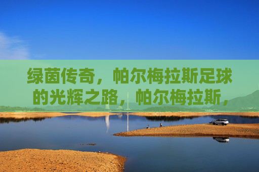 绿茵传奇,帕尔梅拉斯足球的光辉之路,帕尔梅拉斯,绿茵传奇的光辉之路