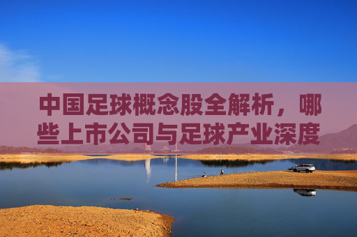 中国足球概念股全解析,哪些上市公司与足球产业深度绑定?中国足球概念股全解析,深度绑定足球产业的上市公司