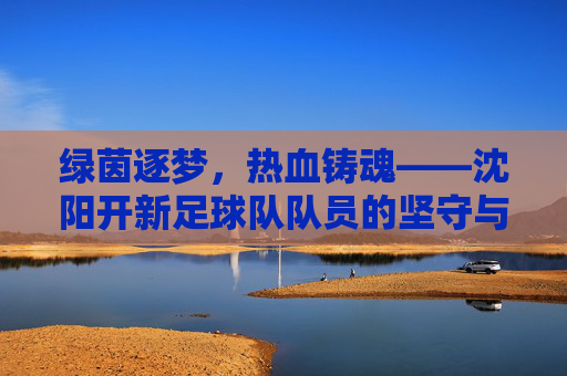 绿茵逐梦,热血铸魂——沈阳开新足球队队员的坚守与荣光,绿茵逐梦热血铸魂——沈阳开新队员的坚守与荣光
